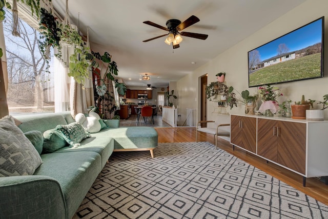 living area featuring light wood-type flooring and a ceiling fan