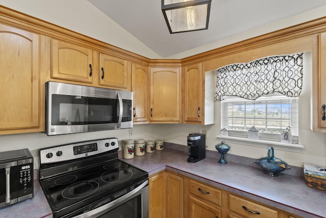 136 Country Ln, Lancaster, KY 40444 - kitchen with appliances with stainless steel finishes, lofted ceiling, and dark countertops