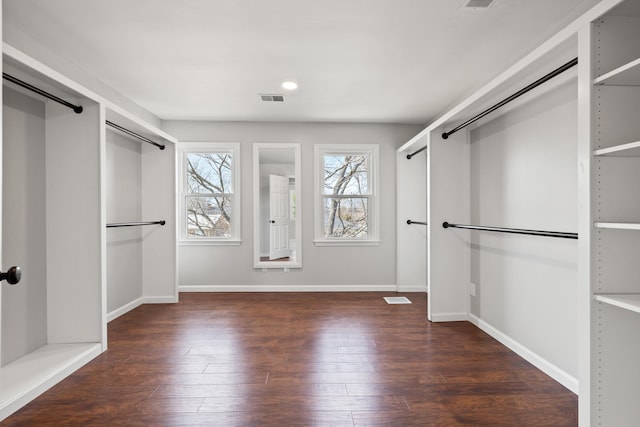 walk in closet featuring hardwood / wood-style flooring and visible vents