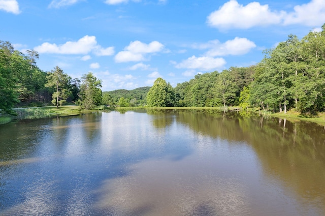 view of water feature with a wooded view