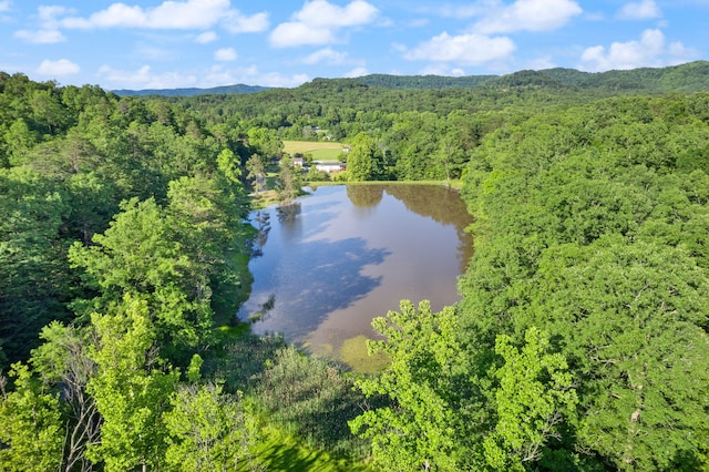 aerial view with a water view and a view of trees