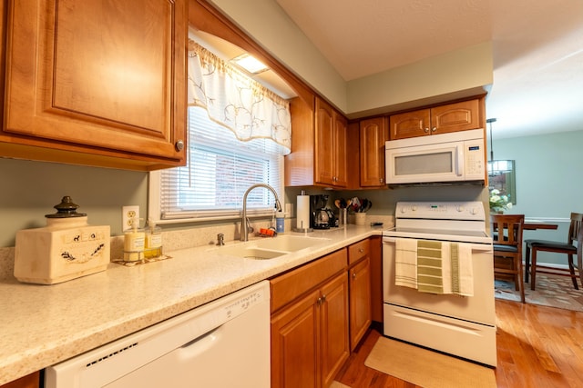 kitchen with light wood-style flooring, white appliances, a sink, light countertops, and brown cabinets