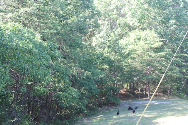 view of yard featuring a wooded view