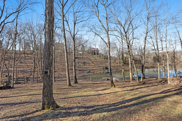 view of yard with a water view