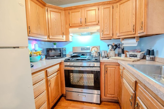 kitchen with light wood finished floors, stainless steel appliances, light countertops, under cabinet range hood, and a sink