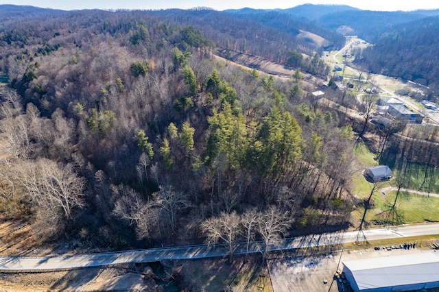 drone / aerial view featuring a forest view and a mountain view