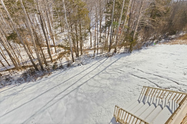 view of yard layered in snow