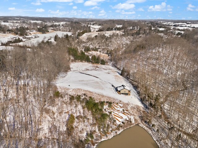 snowy aerial view with a water view