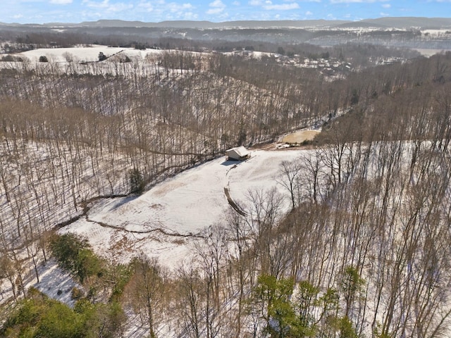 drone / aerial view featuring a mountain view