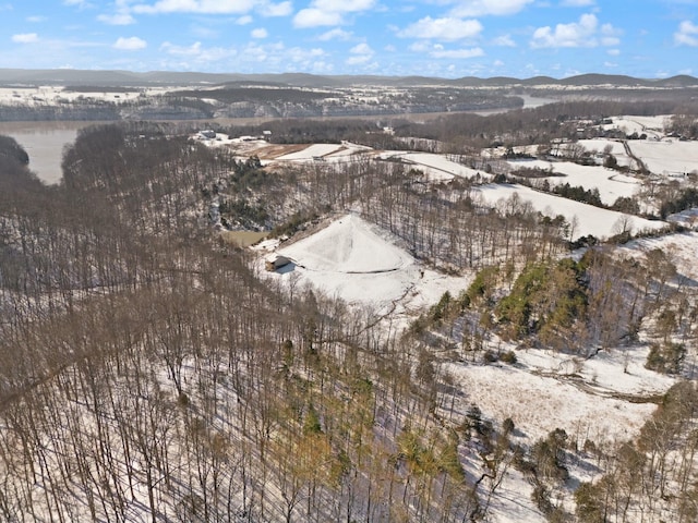 snowy aerial view featuring a mountain view