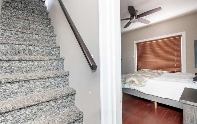 staircase with wood finished floors and a ceiling fan