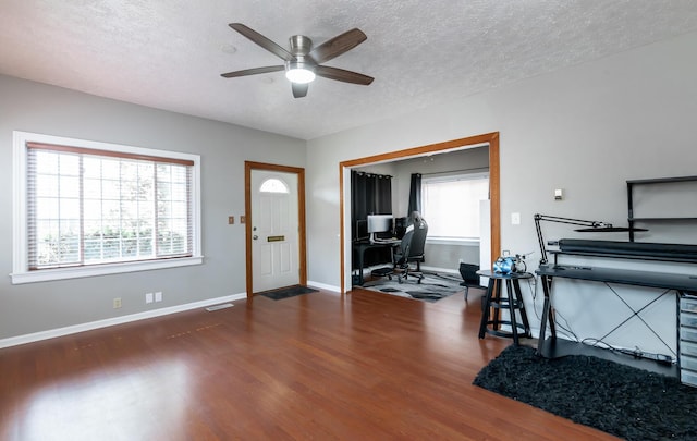 foyer featuring a wealth of natural light, a textured ceiling, baseboards, and wood finished floors