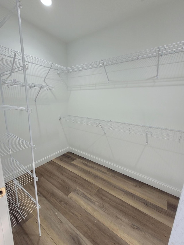 spacious closet featuring wood finished floors