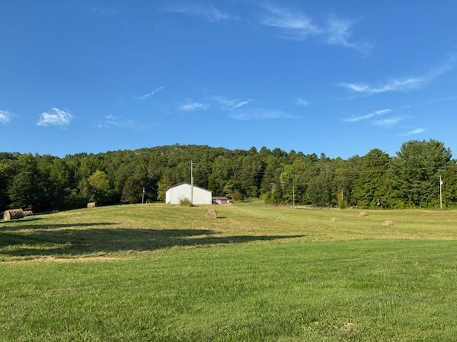 view of yard featuring a wooded view and a rural view