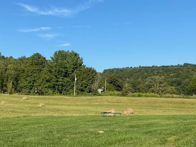 view of home's community featuring a lawn