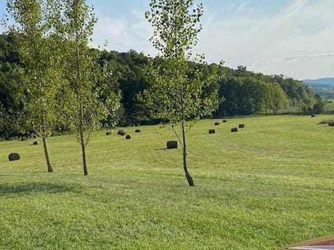 view of property's community featuring a yard and a rural view