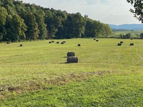 view of community featuring a rural view and a lawn