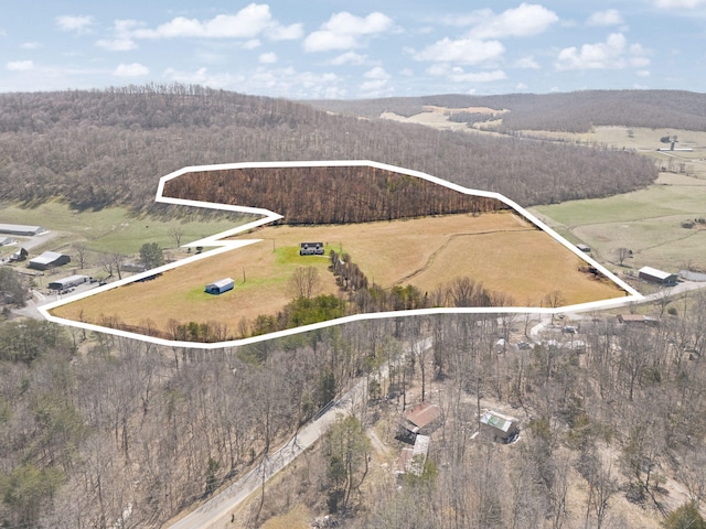 bird's eye view with a forest view and a rural view