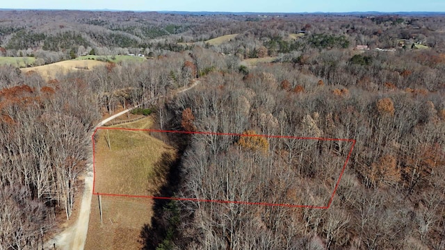 TRACT4 Mcfall Rd, Albany KY, 42602 land for sale