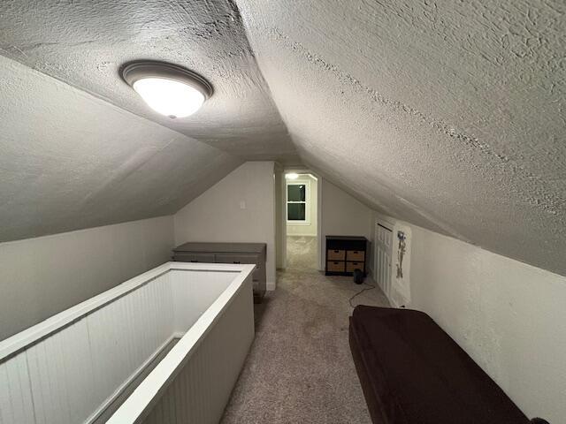 bonus room featuring carpet floors, vaulted ceiling, and a textured ceiling