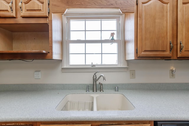 kitchen featuring a sink and dishwasher