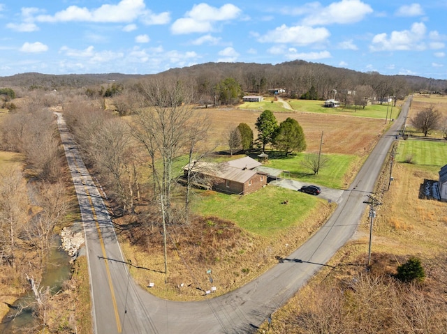 birds eye view of property with a rural view and a mountain view