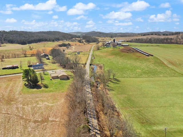 birds eye view of property with a rural view and a mountain view