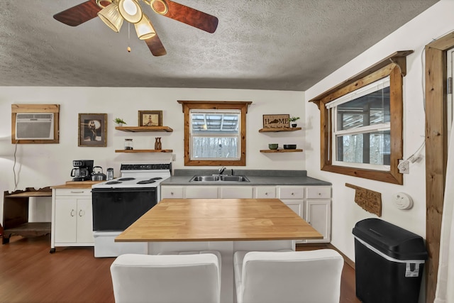 kitchen featuring wooden counters, electric range, a sink, and open shelves