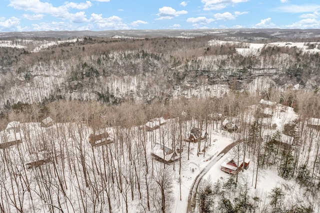 view of snowy aerial view