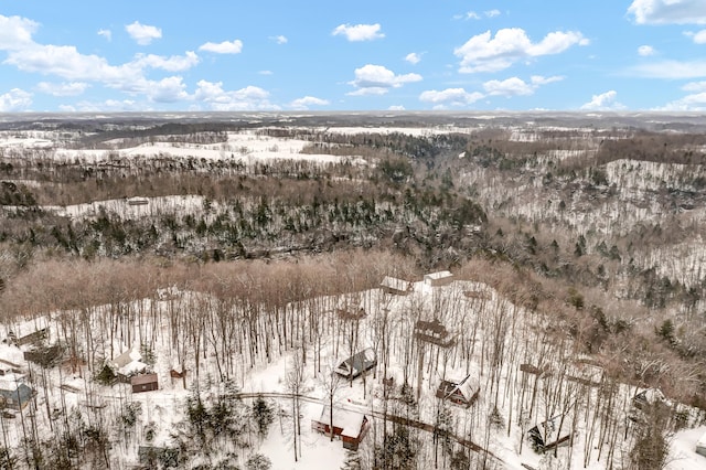 view of snowy aerial view