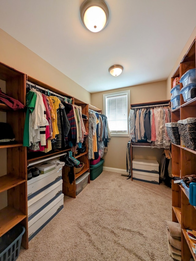 spacious closet featuring carpet flooring