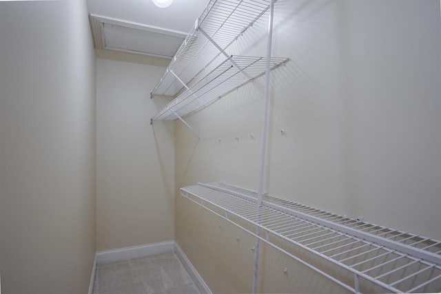 spacious closet with light carpet