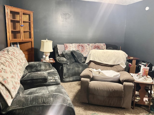 view of carpeted home theater