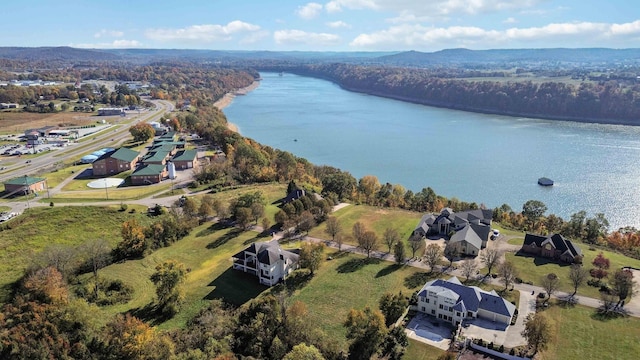 drone / aerial view featuring a water view and a view of trees