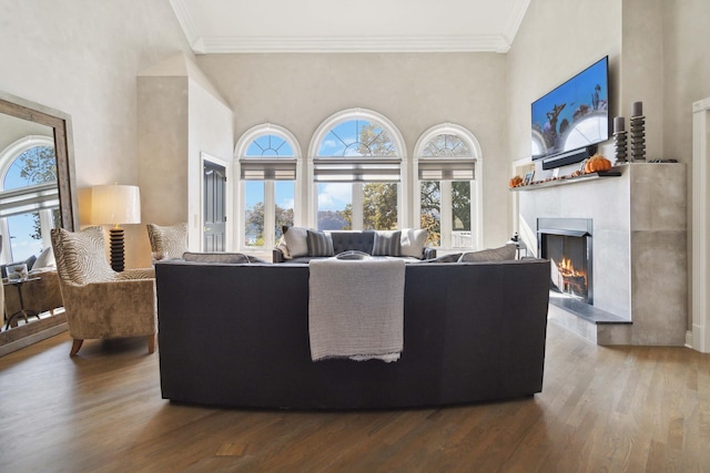 living room with a warm lit fireplace, wood finished floors, and a healthy amount of sunlight