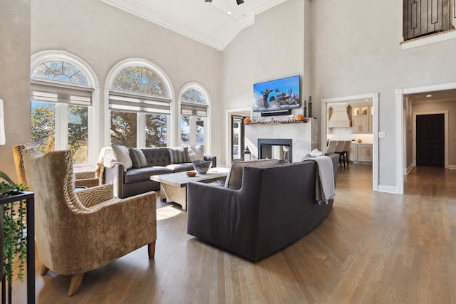 living area featuring high vaulted ceiling, wood finished floors, a glass covered fireplace, and baseboards