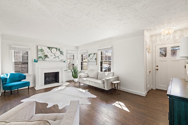 living room with crown molding, wood-type flooring, a fireplace with flush hearth, a textured ceiling, and baseboards