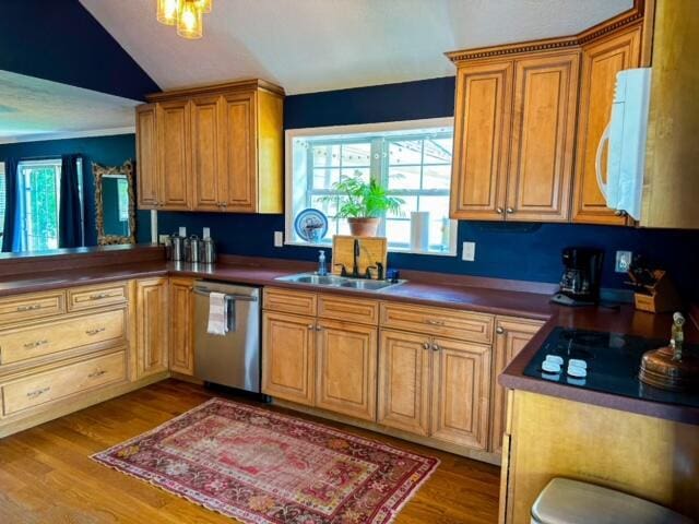 kitchen featuring lofted ceiling, white microwave, dark wood-type flooring, a sink, and stainless steel dishwasher