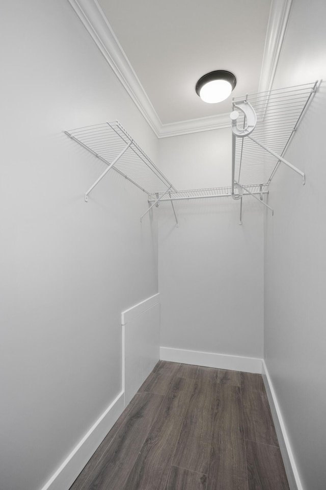 spacious closet with wood finished floors