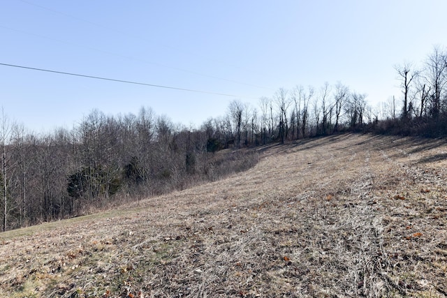 view of local wilderness