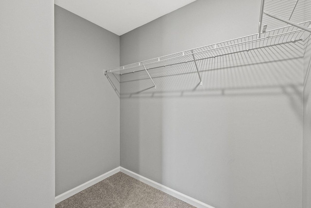 spacious closet with carpet