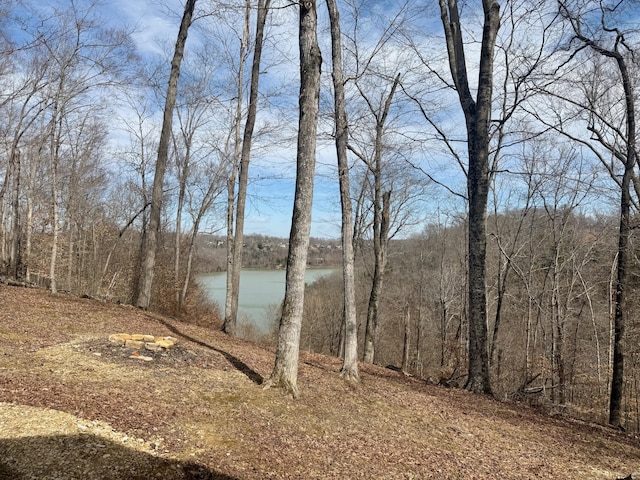 view of water feature with a forest view