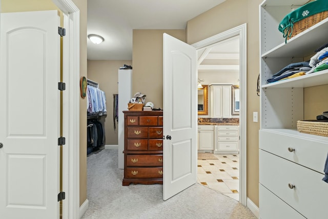 spacious closet featuring light carpet