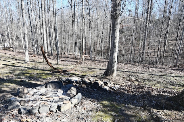 view of local wilderness featuring a wooded view