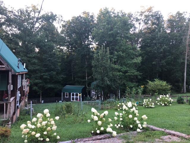 view of yard with fence, an outdoor structure, and a shed