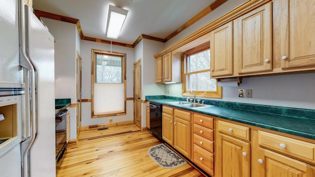 kitchen with light wood finished floors, dark countertops, ornamental molding, a sink, and black appliances