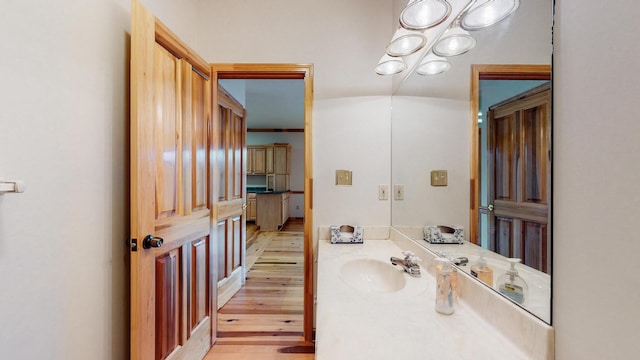 bathroom featuring wood finished floors and vanity