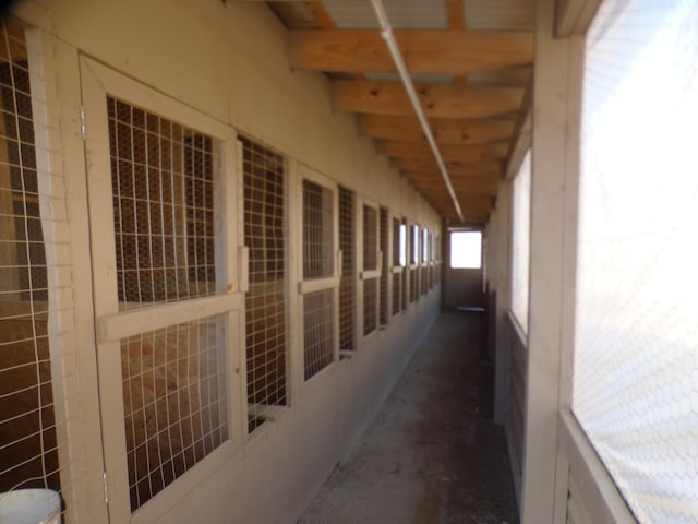 view of stable