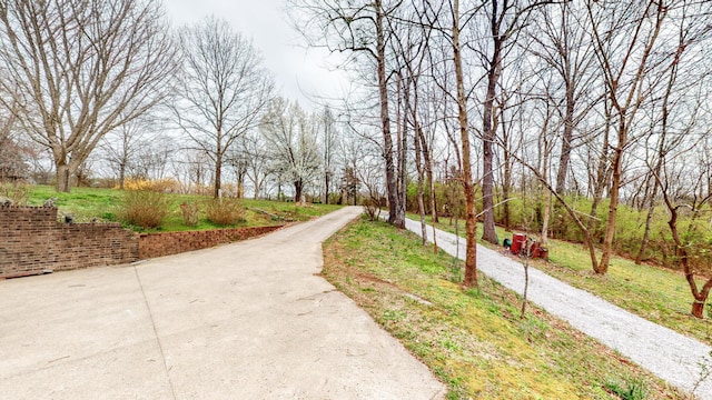 view of property's community with driveway