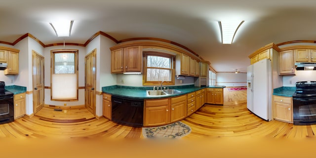 kitchen with under cabinet range hood, a sink, light wood-style floors, black appliances, and dark countertops